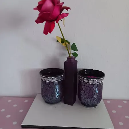 Art Jasmina With Sea View - Bikers And Pets Are Welcome * Starigrad Paklenica