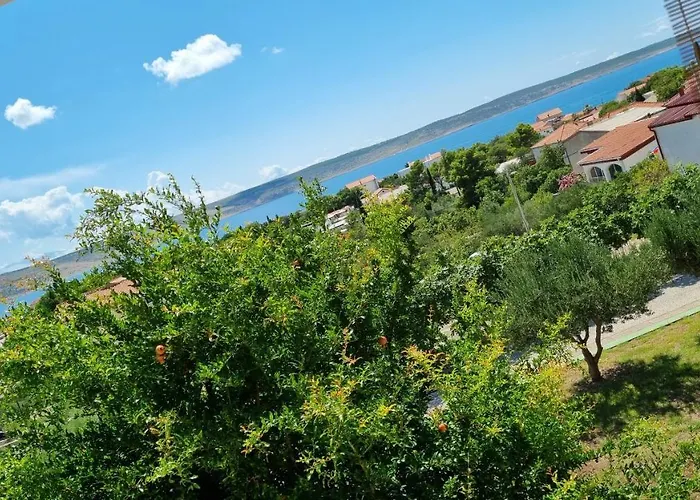 Apartmán Art Jasmina With Sea View - Bikers And Pets Are Welcome *